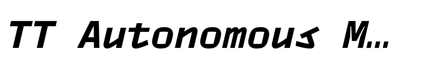 TT Autonomous Mono Bold Italic